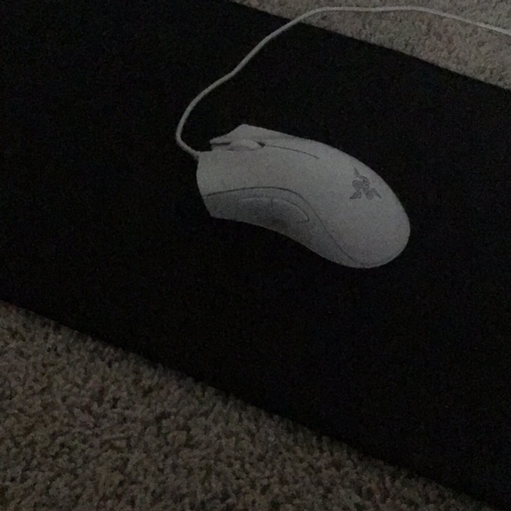 Razed death adder